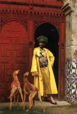 arab and dogs