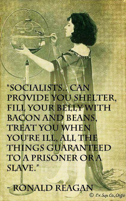 ron reagan on socialism