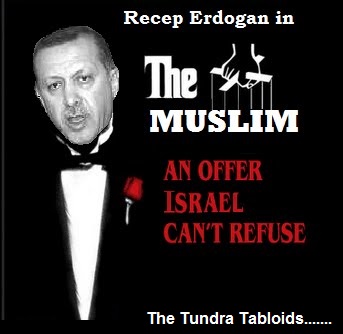 erdogan the peace maker