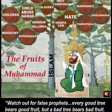 mohameds fruits