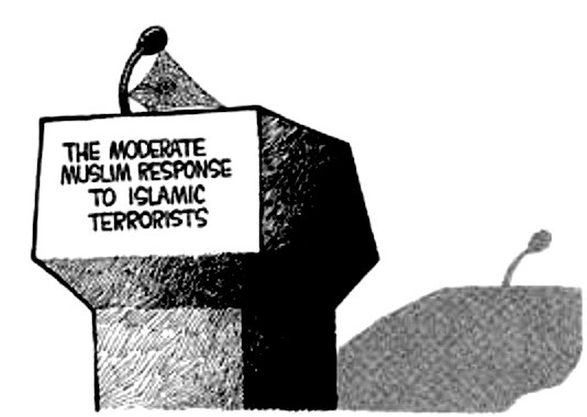 moderate-muslim-voice-non-existent