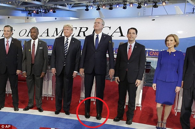 tippy toes bush