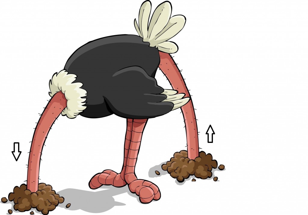 Ostrich-with-head-in-sand-and up its butt