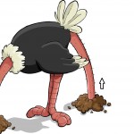 Ostrich-with-head-in-sand-and up its butt