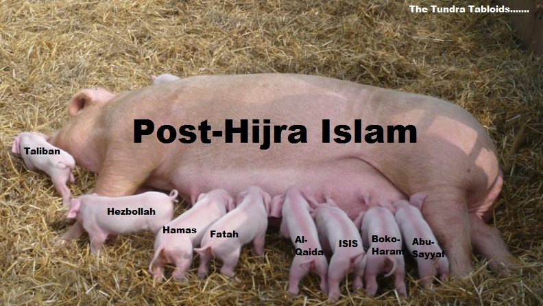 Post-Hijra Islam