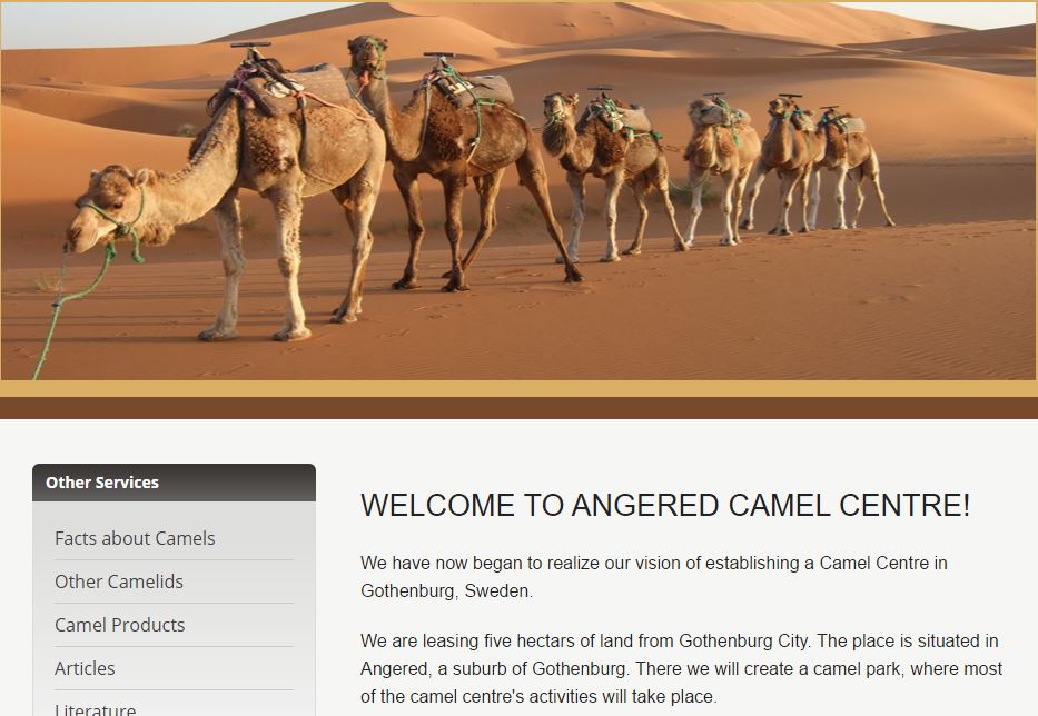 camel center for gothenberg